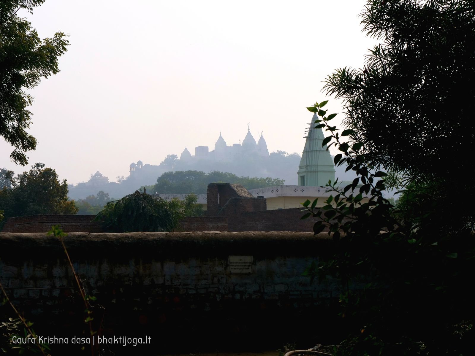 12 radhas garden varshana 2019 12 10